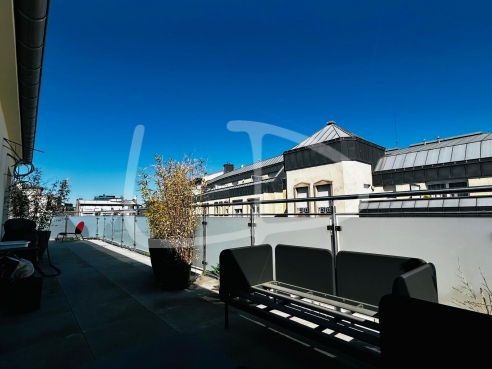 WhatsApp Image 2025-04-30 at 11.13.46.jpeg